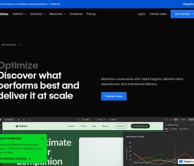 Webflow Optimize