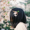 迷途的像素